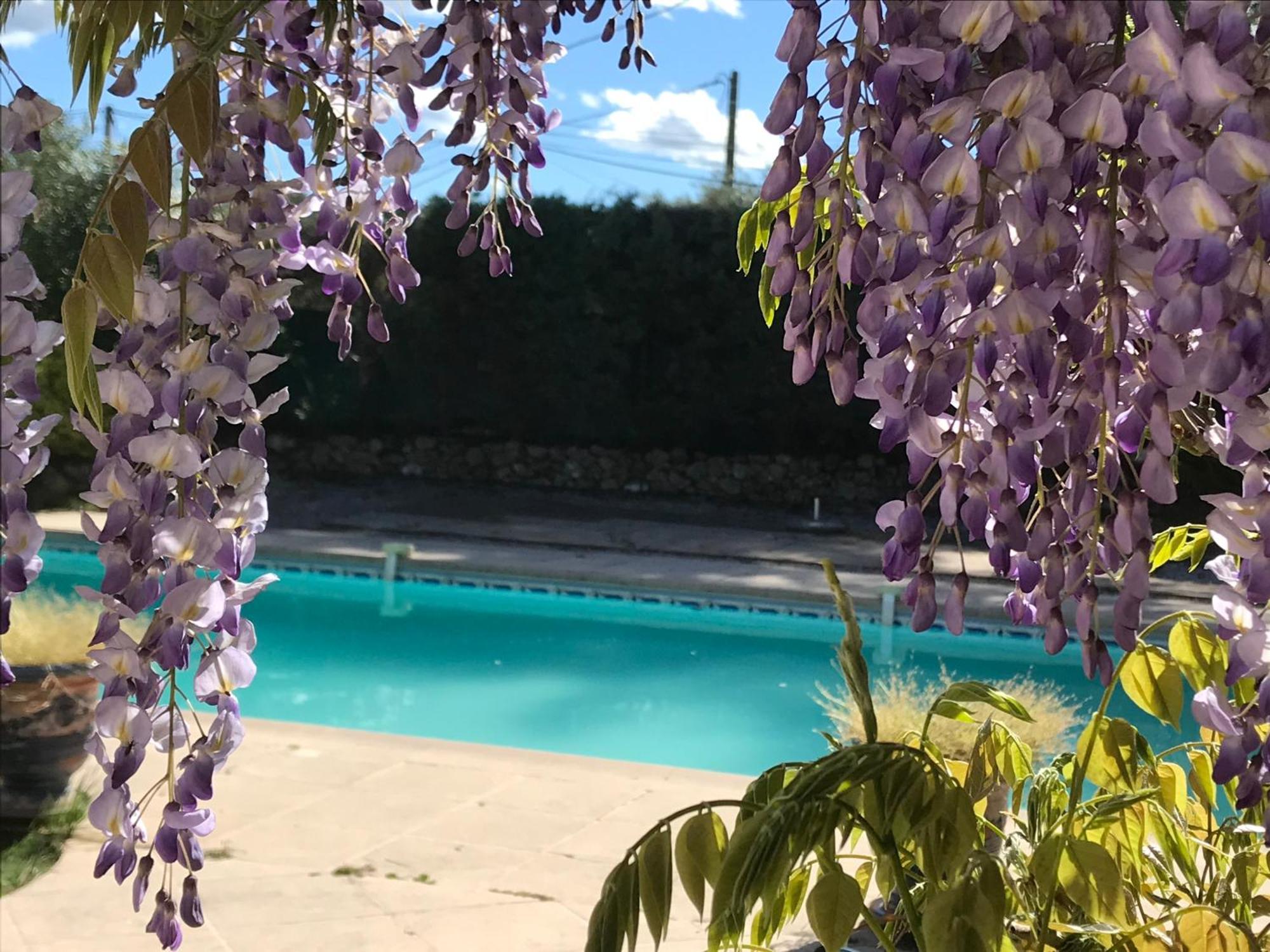 Le Patio Fleuri Lorgues Exterior foto
