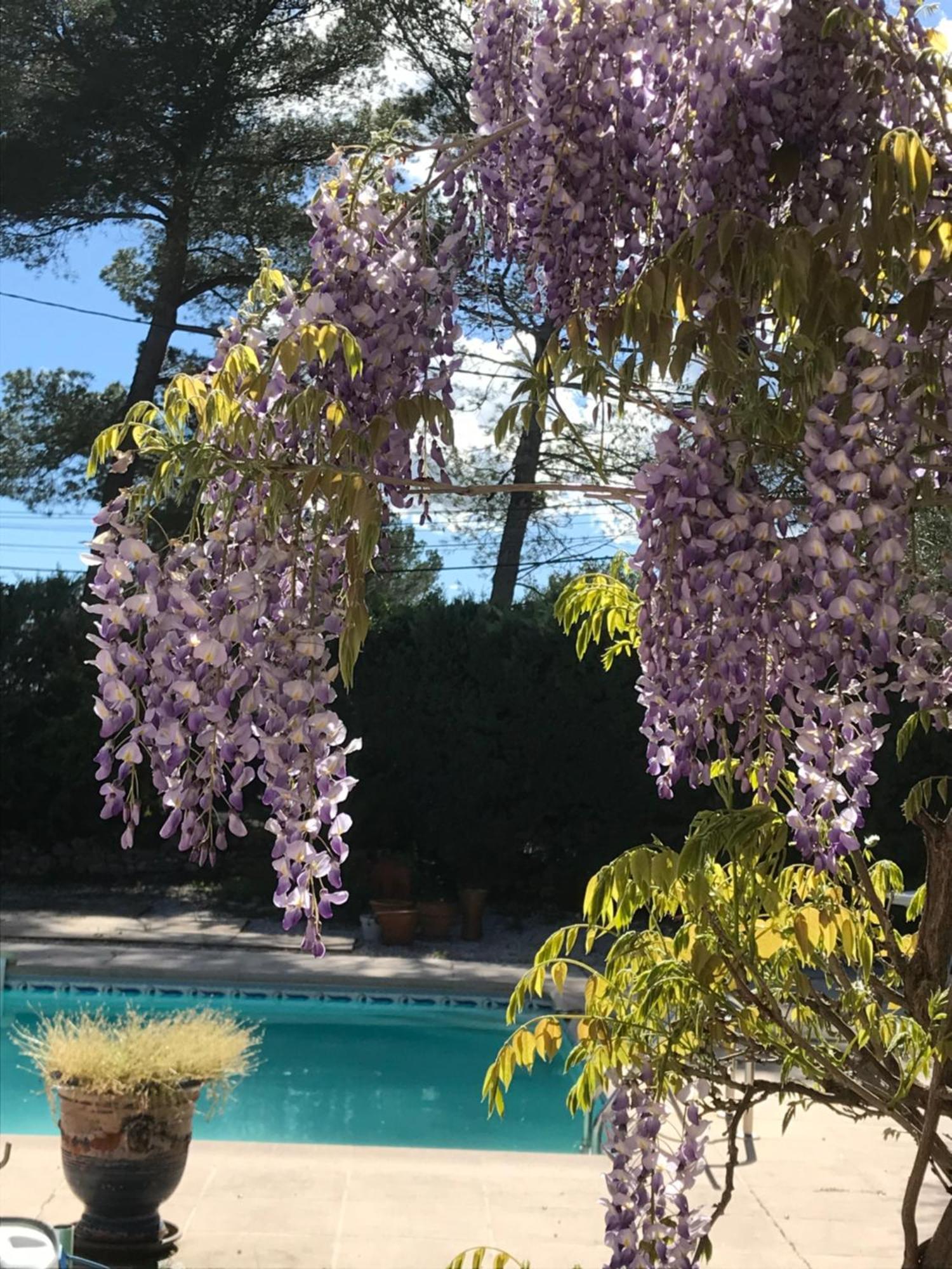 Le Patio Fleuri Lorgues Exterior foto